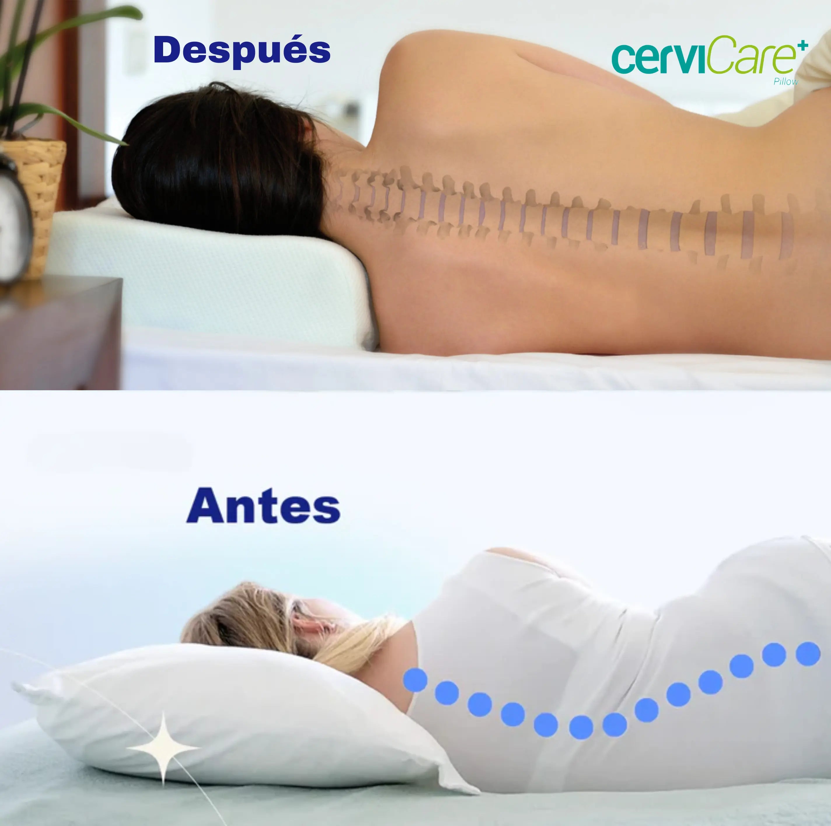 Nuestra almohada CerviCare Cervicare